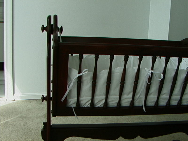 cradle04.jpg 
800 x 600 JPEG-compressed image 
(277,805 bytes)