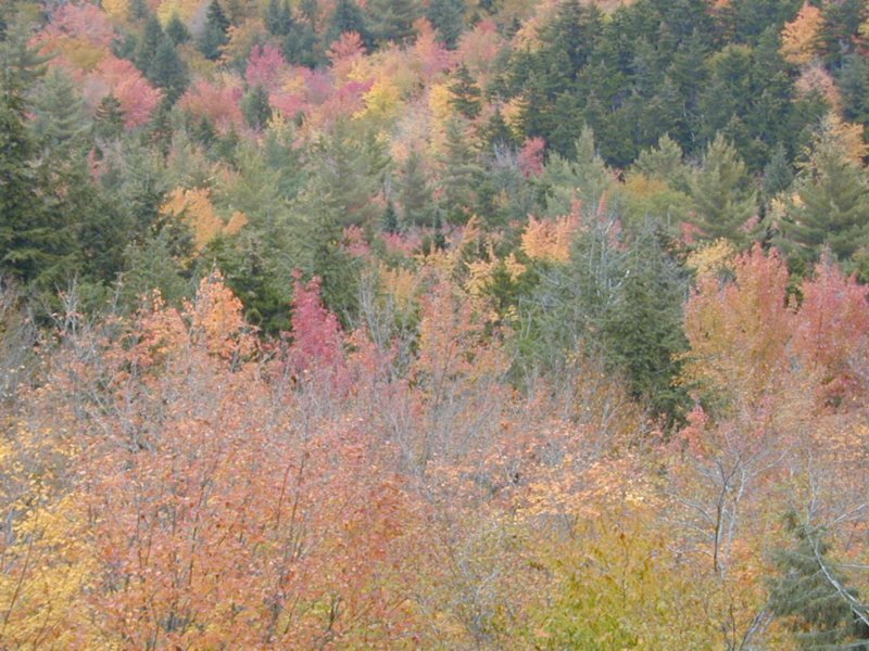 conway02.jpg 
800 x 600 compressed image 
(134,255 bytes)