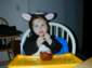 Preview of: 
halloween3.jpg 
800 x 600 compressed image 
(61,654 bytes)