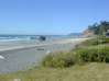 Preview of:
oregon-aug02.jpg
800 x 600 compressed image
(91,011 bytes)