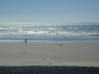 Preview of:
oregon-aug03.jpg
800 x 600 compressed image
(70,312 bytes)