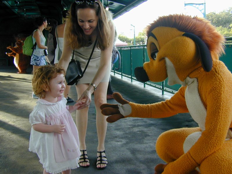 disney02.jpg 
800 x 600 compressed image 
(101,213 bytes)