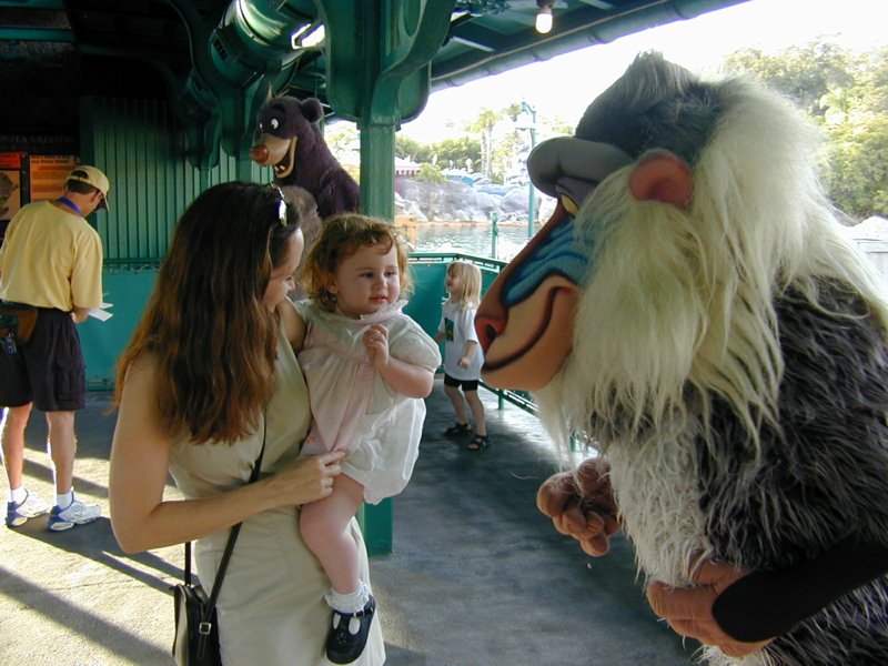 disney03.jpg 
800 x 600 compressed image 
(101,200 bytes)