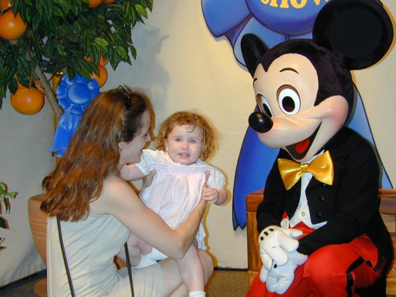 disney07.jpg 
800 x 600 compressed image 
(87,058 bytes)