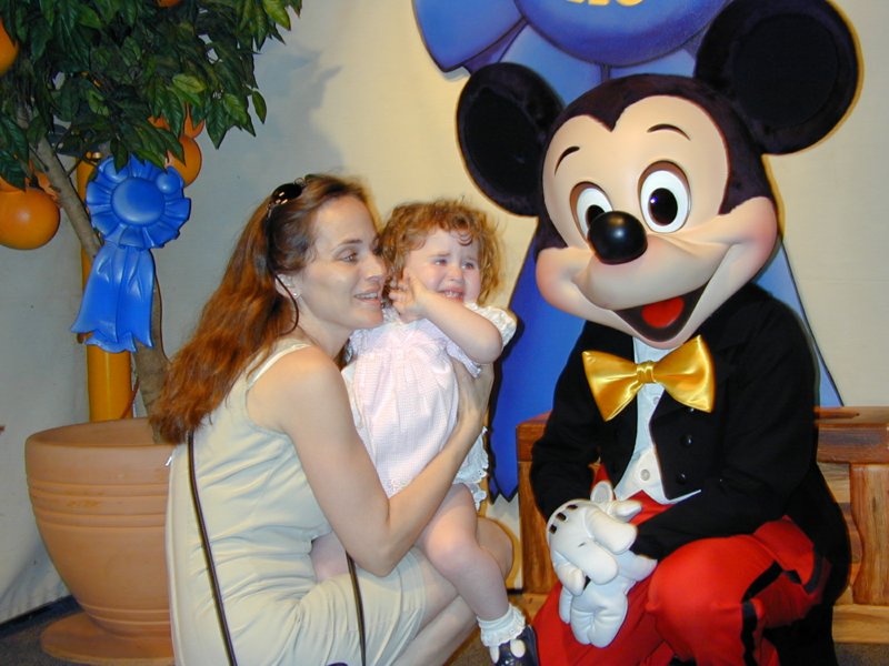 disney08.jpg 
800 x 600 compressed image 
(85,890 bytes)