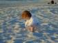 Preview of:
disney12.jpg
800 x 600 compressed image
(123,685 bytes)