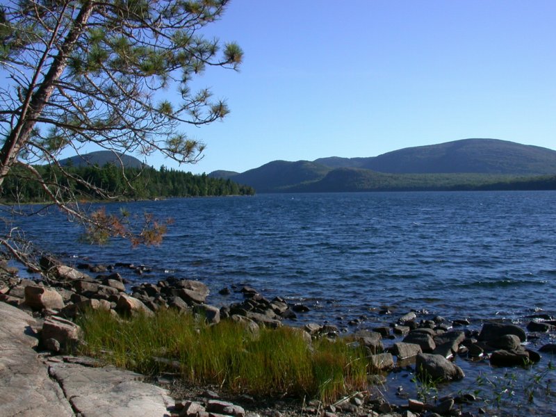 downeast18.jpg 
800 x 600 compressed image 
(120,481 bytes)