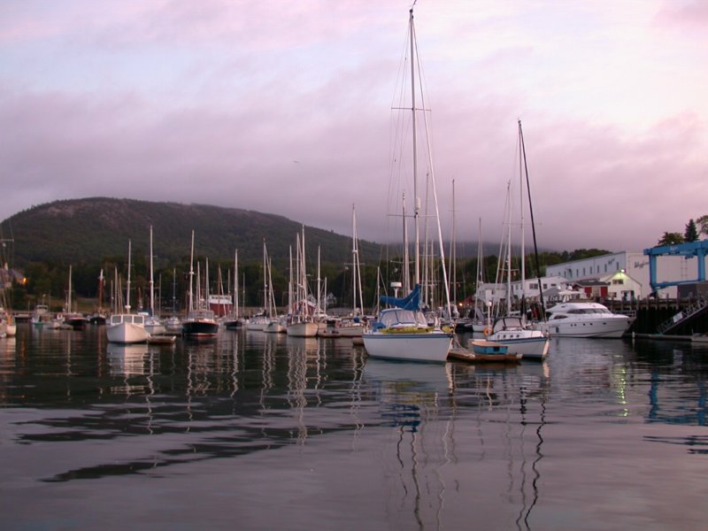 downeast32.jpg 
800 x 600 compressed image 
(69,716 bytes)