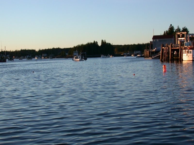 downeast36.jpg 
800 x 600 compressed image 
(85,668 bytes)