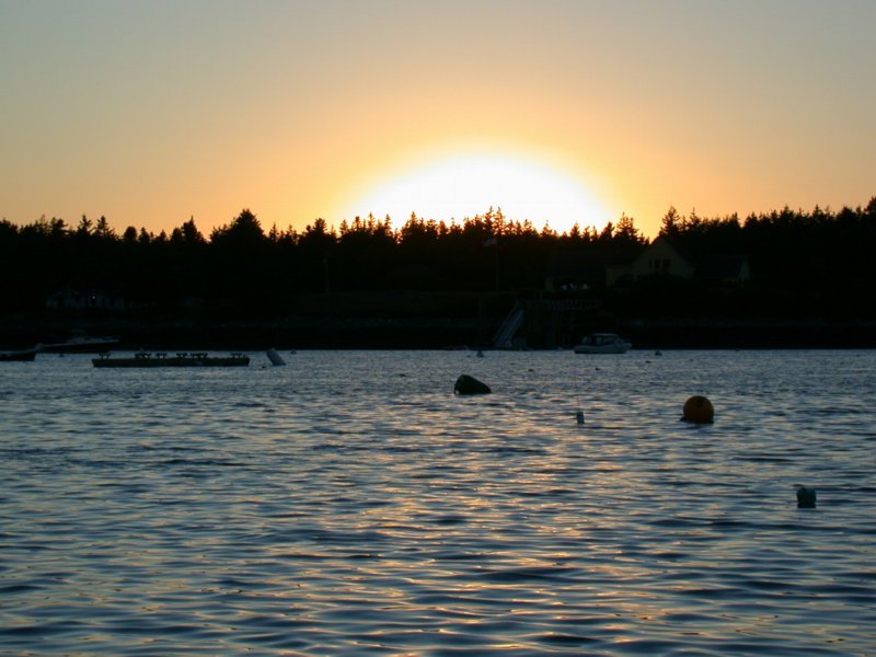 downeast39.jpg 
800 x 600 compressed image 
(77,969 bytes)
