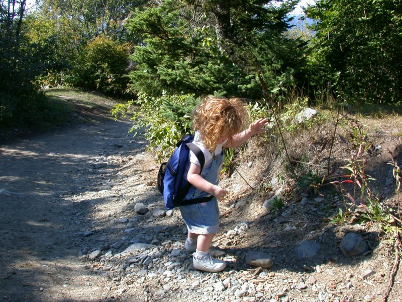 downeast44.jpg 
800 x 600 compressed image 
(187,077 bytes)