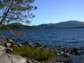 Preview of:
downeast18.jpg
800 x 600 compressed image
(120,481 bytes)