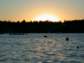 Preview of:
downeast39.jpg
800 x 600 compressed image
(77,969 bytes)