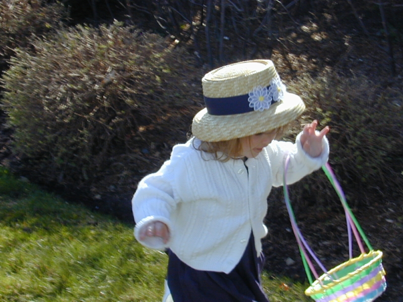 easter11.jpg 
800 x 600 JPEG-compressed image 
(373,173 bytes)