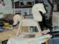 Preview of: 
rockinghorse08.jpg 
800 x 600 JPEG-compressed image 
(368,224 bytes)