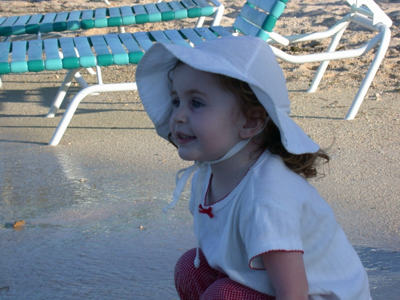caymans12.jpg 
800 x 600 JPEG-compressed image 
(401,932 bytes)