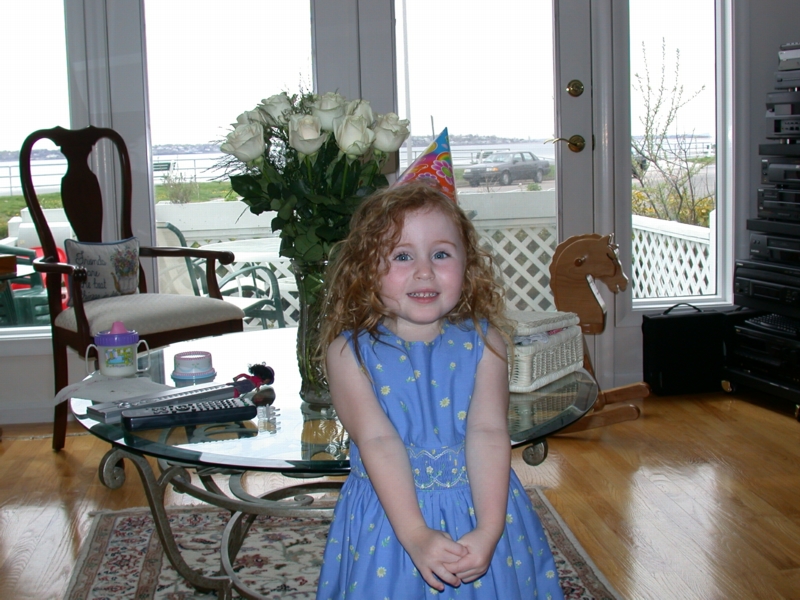 thirdbday01.jpg 
800 x 600 JPEG-compressed image 
(371,090 bytes)