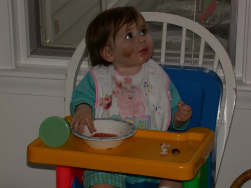 thirdbday11.jpg 
800 x 600 JPEG-compressed image 
(261,691 bytes)