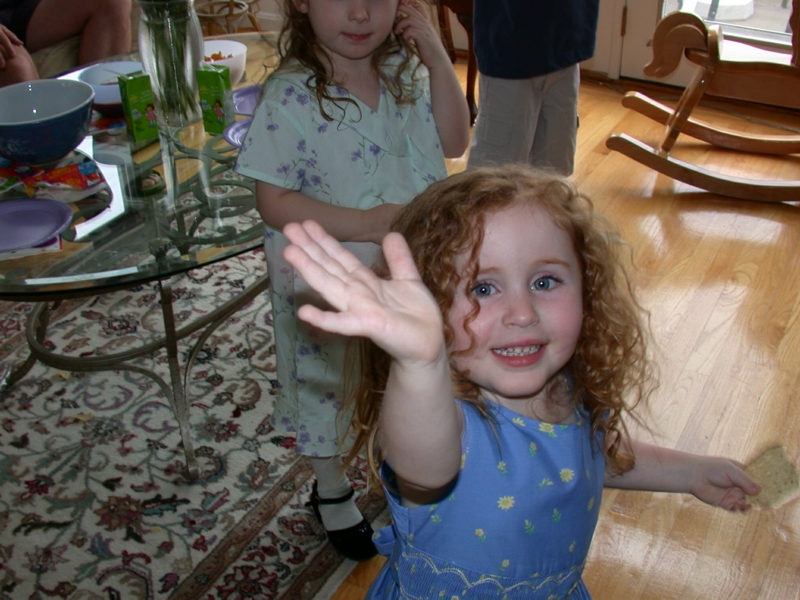 thirdbday25.jpg 
800 x 600 JPEG-compressed image 
(370,287 bytes)