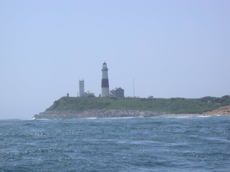 cruisesouth12.jpg 
800 x 600 compressed image 
(52,370 bytes)