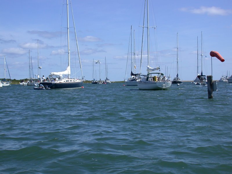 cruisesouth60.jpg 
800 x 600 compressed image 
(74,960 bytes)