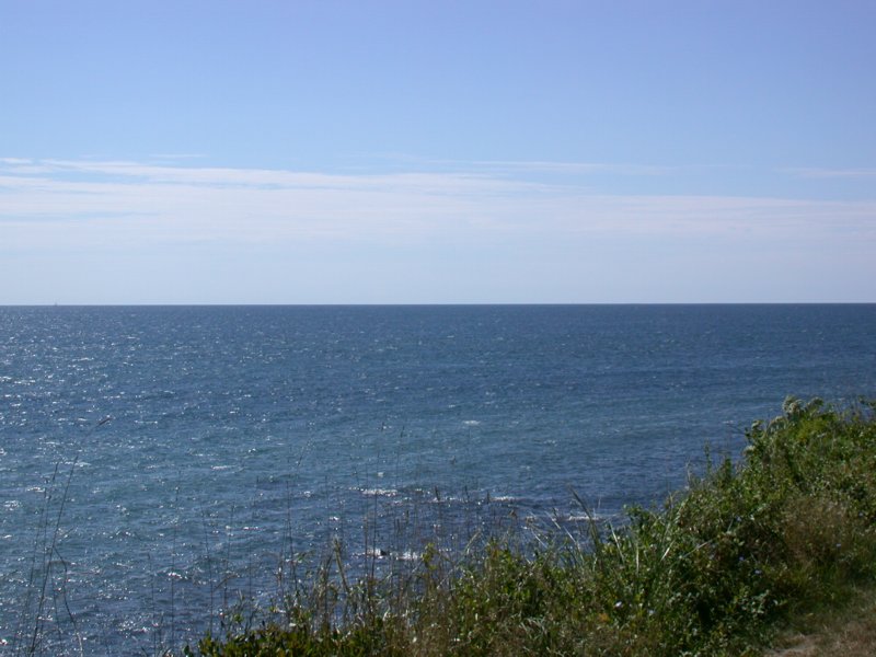 cruisesouth62.jpg 
800 x 600 compressed image 
(79,030 bytes)