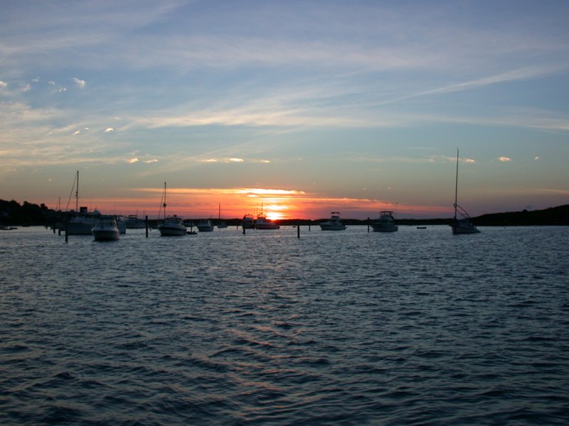 cruisesouth65.jpg 
800 x 600 compressed image 
(77,494 bytes)