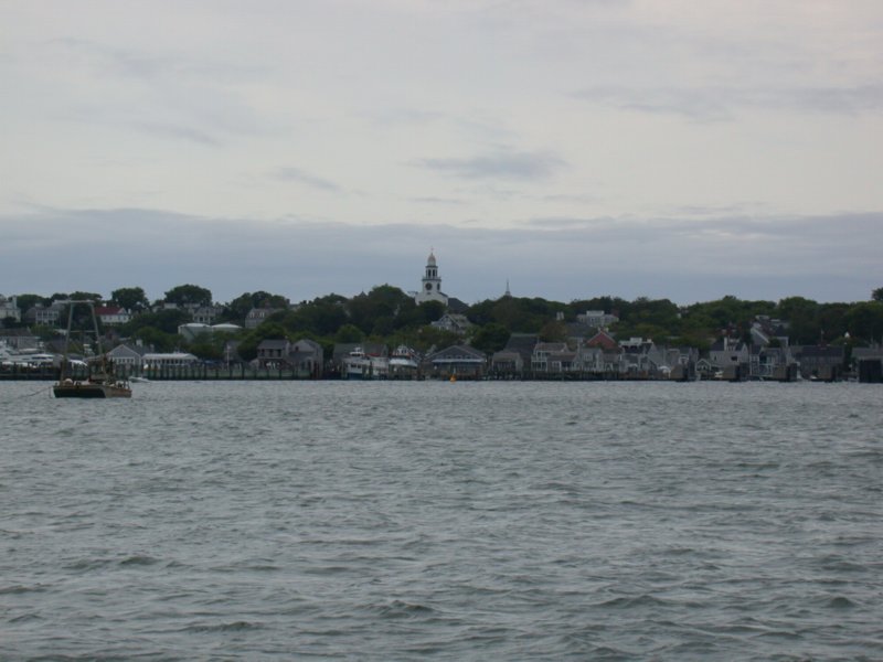 cruisesouth73.jpg 
800 x 600 compressed image 
(63,538 bytes)