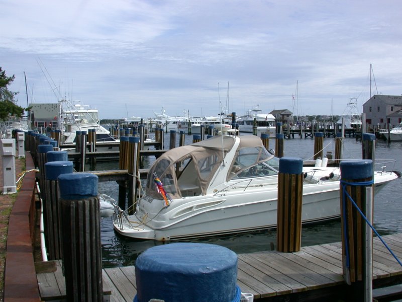 cruisesouth77.jpg 
800 x 600 compressed image 
(91,757 bytes)
