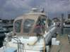 Preview of: 
cruisesouth01.jpg 
800 x 600 compressed image 
(90,771 bytes)