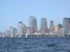 Preview of:
cruisesouth35.jpg
800 x 600 compressed image
(76,941 bytes)