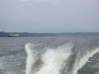 Preview of: 
cruisesouth47.jpg 
800 x 600 compressed image 
(64,024 bytes)