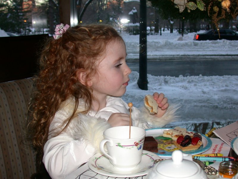 teddybeartea07.jpg 
800 x 600 compressed image 
(93,080 bytes)