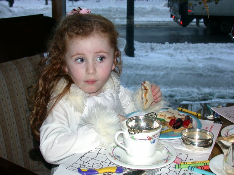 teddybeartea09.jpg 
800 x 600 compressed image 
(92,424 bytes)