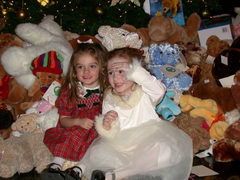 teddybeartea14.jpg 
800 x 600 compressed image 
(105,159 bytes)