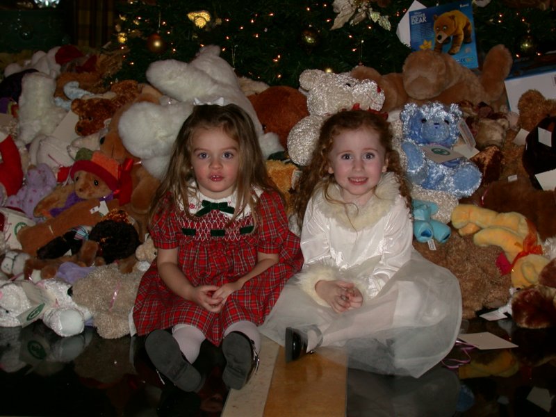 teddybeartea15.jpg 
800 x 600 compressed image 
(96,519 bytes)