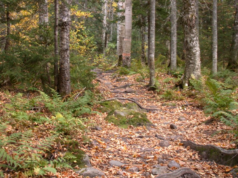 camping07.jpg 
800 x 600 compressed image 
(173,442 bytes)