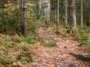 Preview of:
camping07.jpg
800 x 600 compressed image
(173,442 bytes)