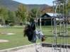Preview of: 
camping15.jpg 
800 x 600 compressed image 
(168,106 bytes)