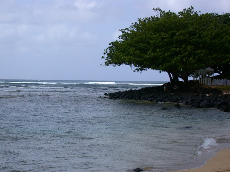 hawaii09.jpg 
800 x 600 compressed image 
(85,717 bytes)