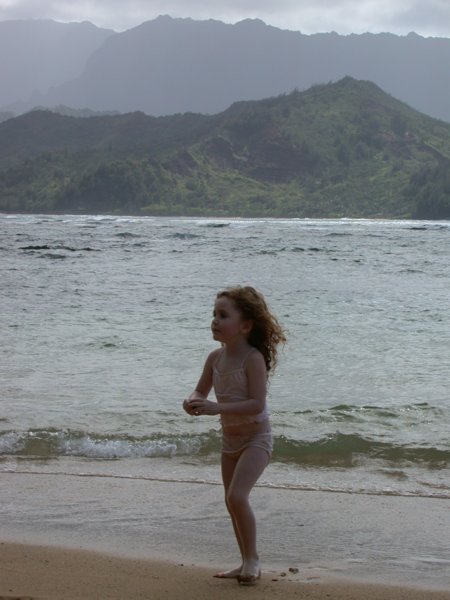 hawaii10.jpg 
450 x 600 compressed image 
(45,986 bytes)