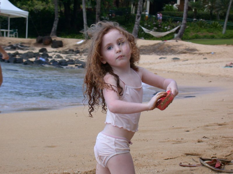 hawaii12.jpg 
800 x 600 compressed image 
(79,128 bytes)