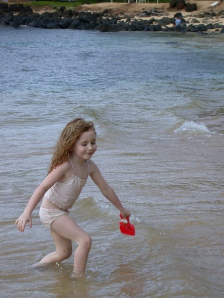 hawaii13.jpg 
450 x 600 compressed image 
(57,351 bytes)