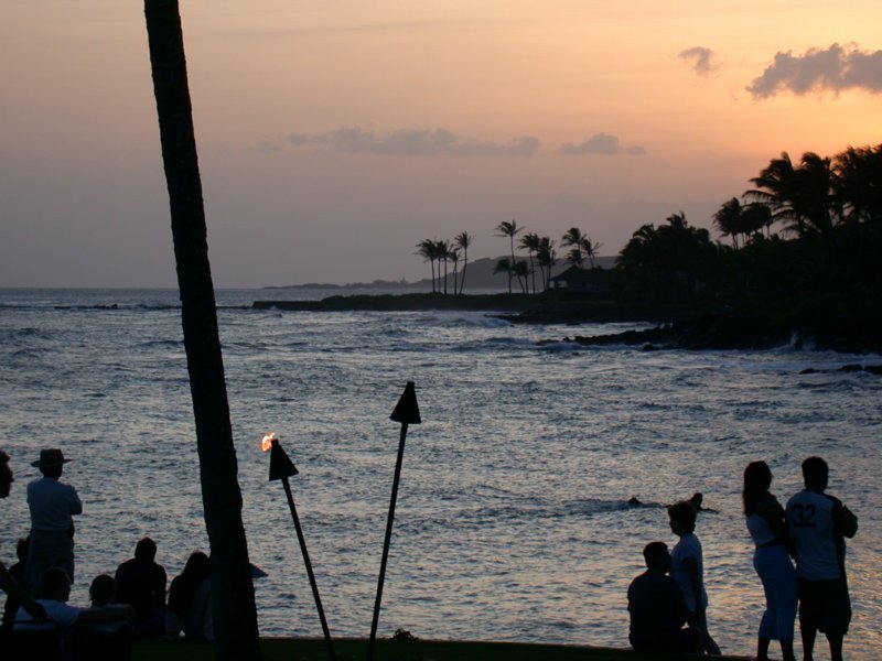 hawaii19.jpg 
800 x 600 compressed image 
(82,330 bytes)