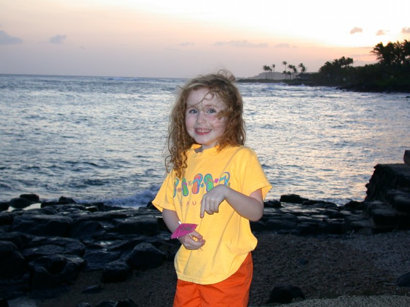 hawaii20.jpg 
800 x 600 compressed image 
(87,274 bytes)