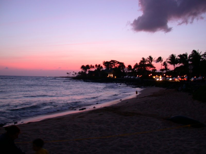hawaii21.jpg 
800 x 600 compressed image 
(54,676 bytes)