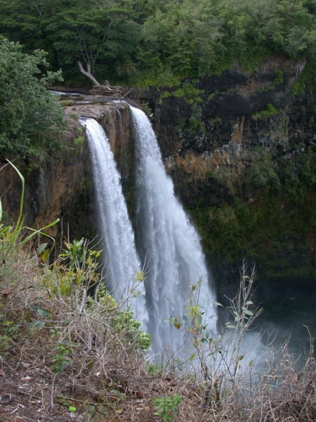 hawaii23.jpg 
450 x 600 compressed image 
(79,052 bytes)