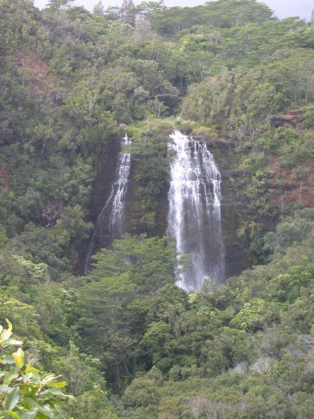 hawaii28.jpg 
450 x 600 compressed image 
(78,444 bytes)