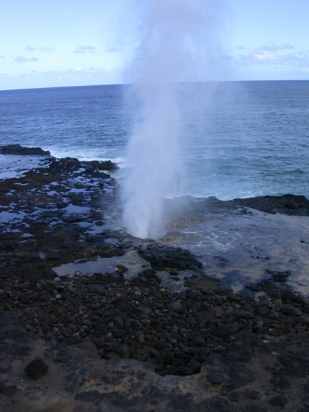 hawaii36.jpg 
450 x 600 compressed image 
(48,005 bytes)