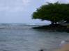 Preview of:
hawaii09.jpg
800 x 600 compressed image
(85,717 bytes)